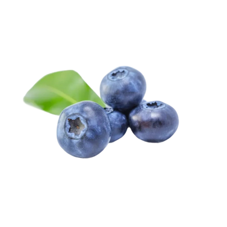 Yaban Mersini | Blueberry