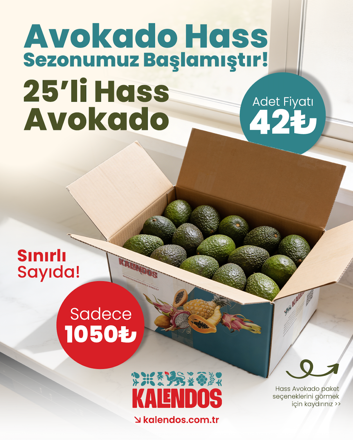 Avokado Hass | 25 Adet | YERLİ