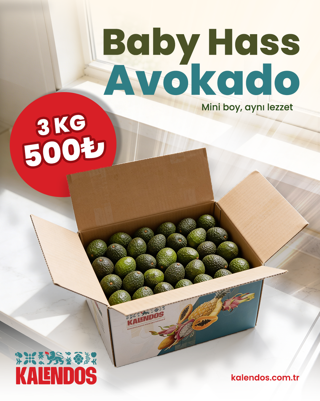 Baby Hass Avokado | 3 Kg | YERLİ