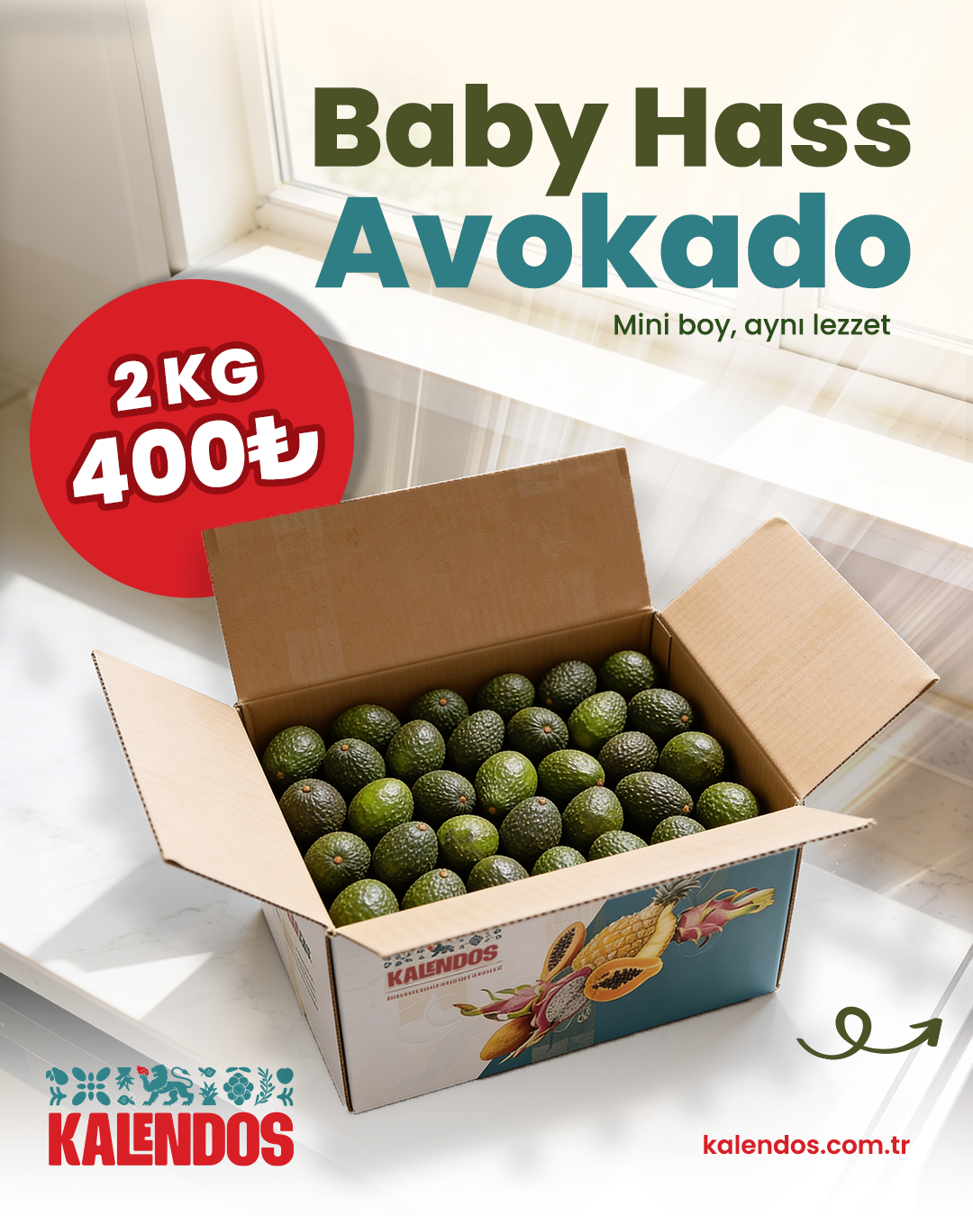 Baby Hass Avokado | 2 Kg | YERLİ