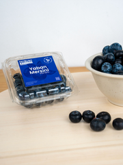 Blueberry | Taze Yaban Mersini | 125 gr