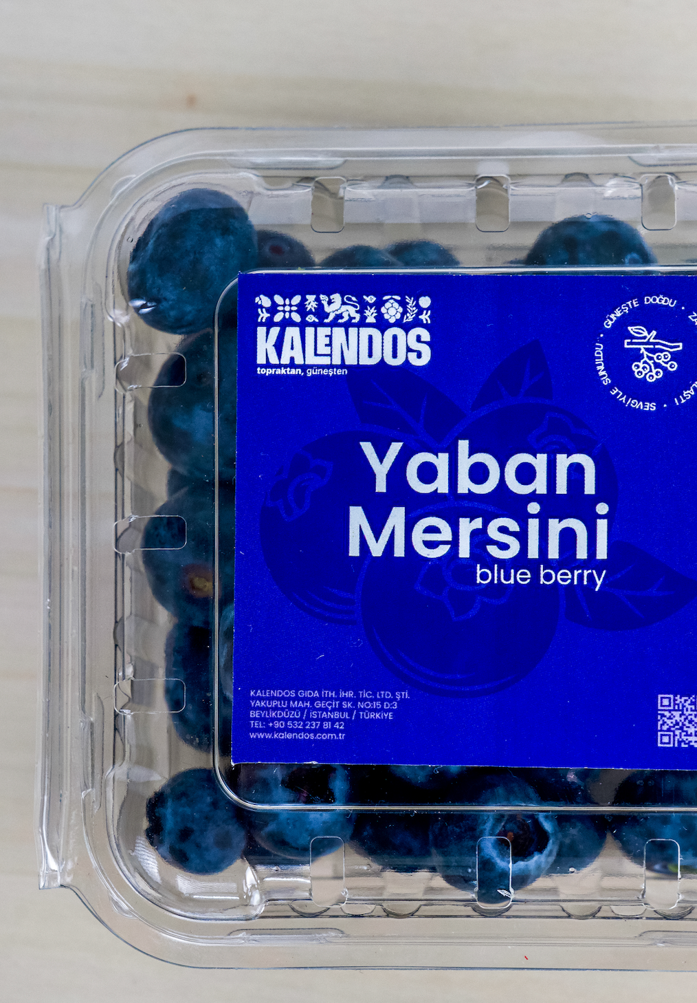 Blueberry | Taze Yaban Mersini | 125 gr