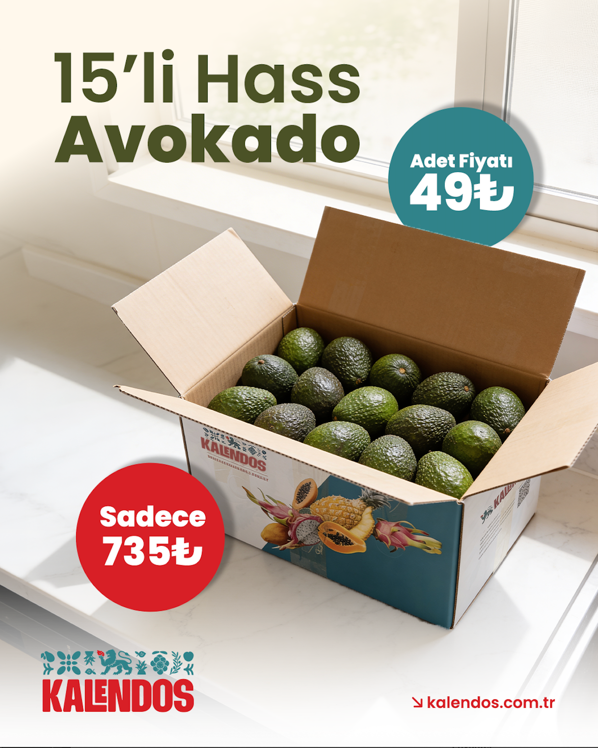 Avokado Hass | 15 Adet | YERLİ