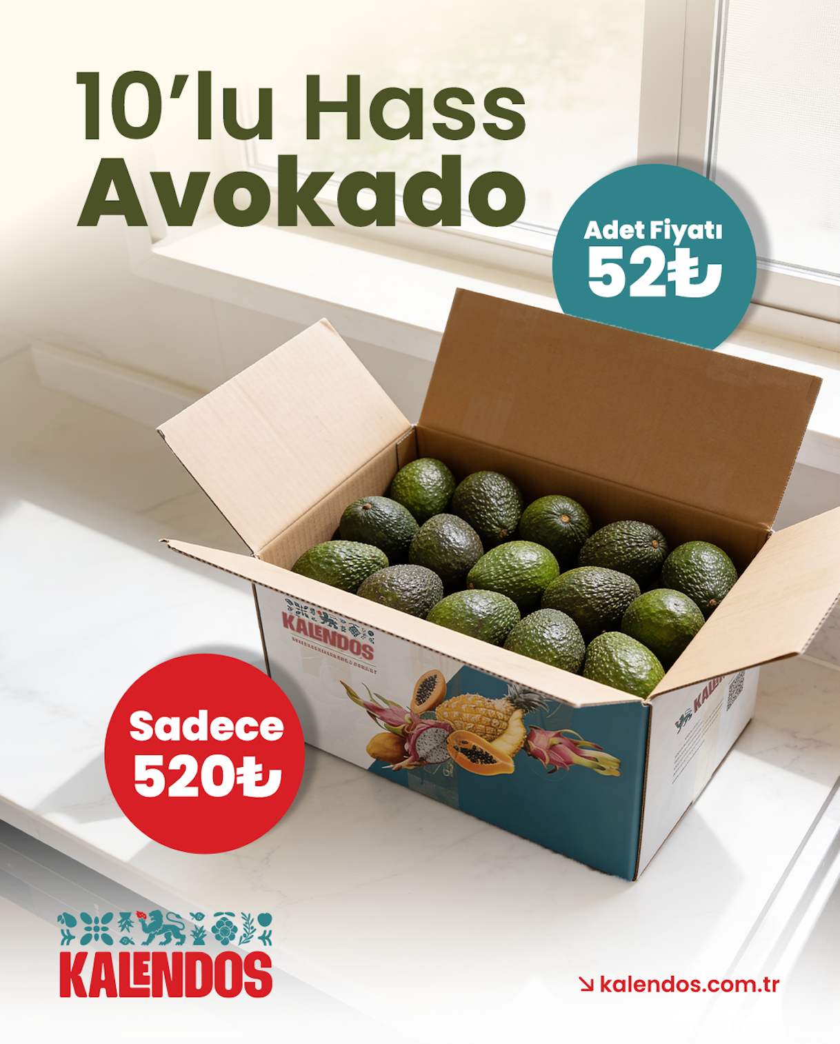 Avokado Hass | 10 Adet | YERLİ