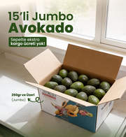 Avokado Fuerte | 15 Adet | 250gr ve Üzeri (JUMBO)