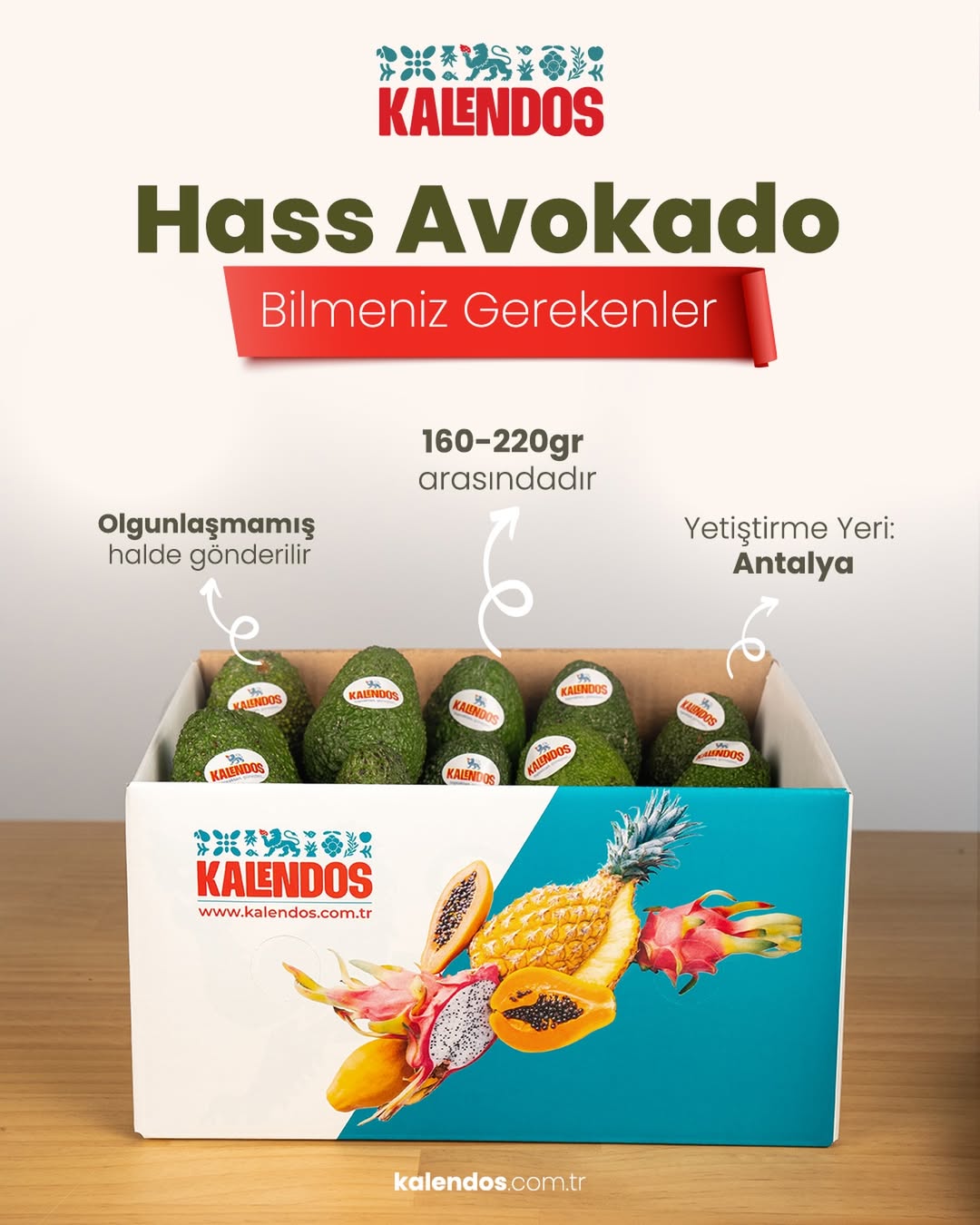 Avokado Hass | 25 Adet | YERLİ