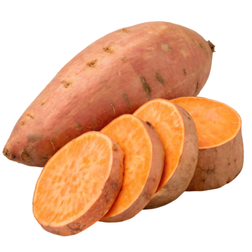 Tatlı Patates
