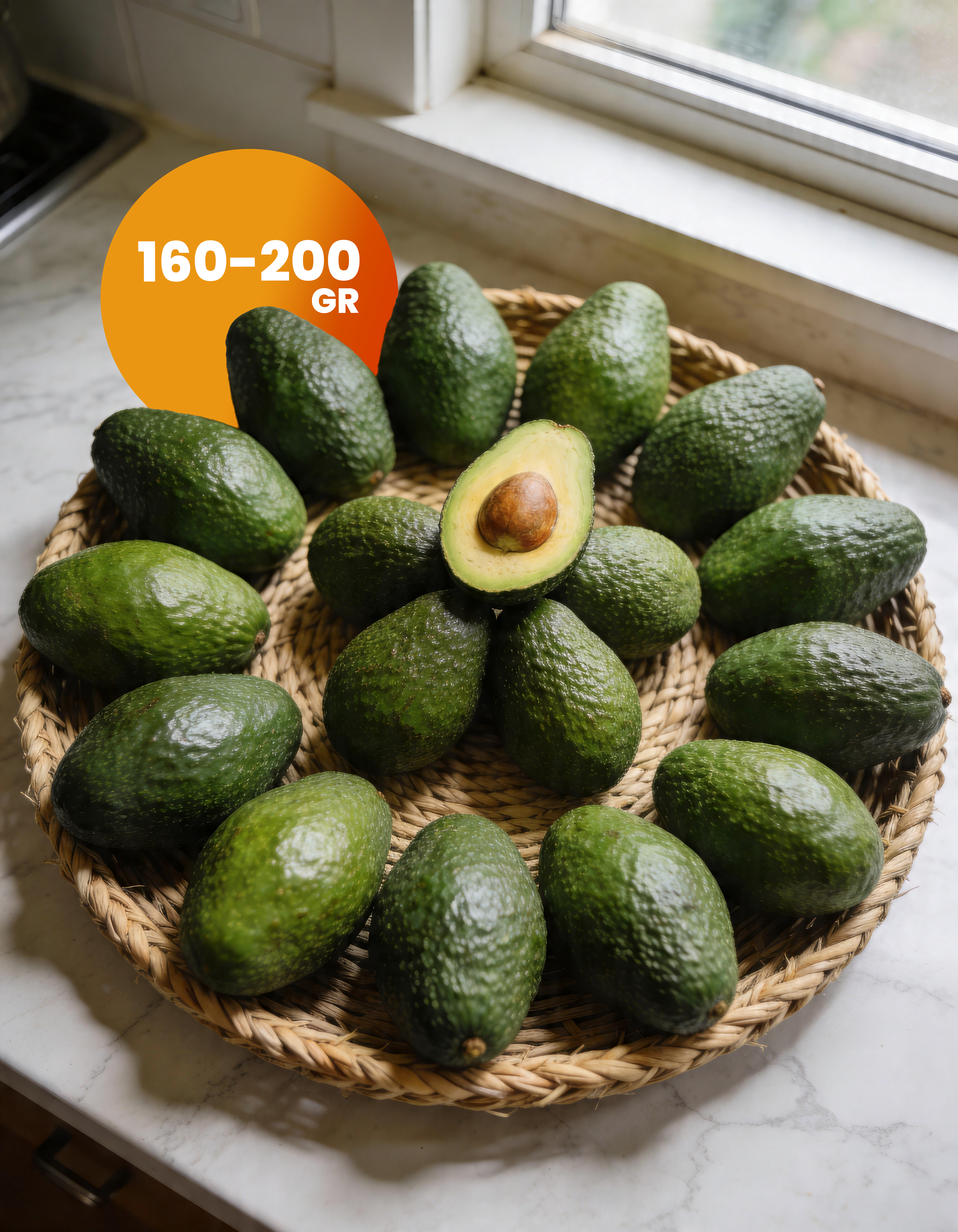 Avokado Fuerte İTHAL | 20 Adet | Orta Boy
